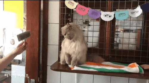 아 하지 말라고 쫌 | 인스티즈