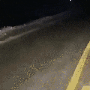 한밤중에 도로에서 만난 길댕댕이.gif | 인스티즈