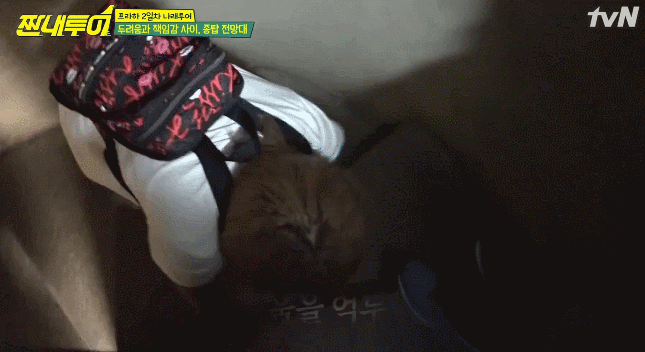 짠내투어] 프라하 종탑 오르다가 폐소공포증이 찾아온 설계자 박나래 ㅠㅠ.jpg | 인스티즈