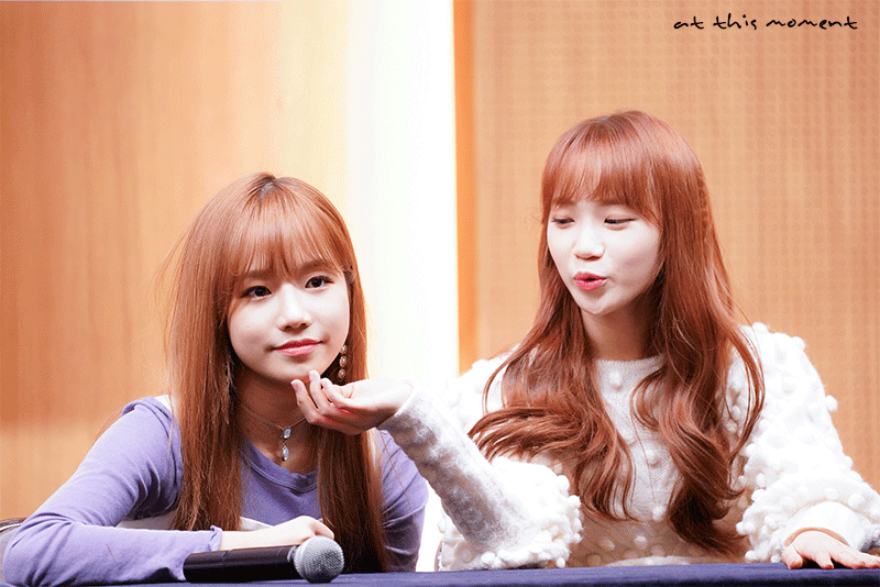 아이즈원) 기자들이 햇갈려하는 유리 예나 채원 | 인스티즈