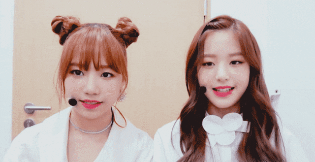아이즈원 장조림즈,오리,찹쌀떡.jpgif | 인스티즈