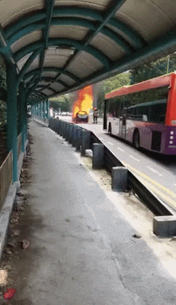 소방관들이 트라우마가 심한 이유.gif | 인스티즈