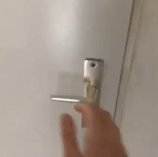 피자 배달 온 댕댕이.gif | 인스티즈