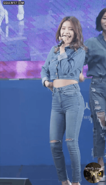 청청패션 솔라 (데이터 주의) | 인스티즈