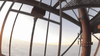 현실판 드래곤볼 카린탑.jpg | 인스티즈