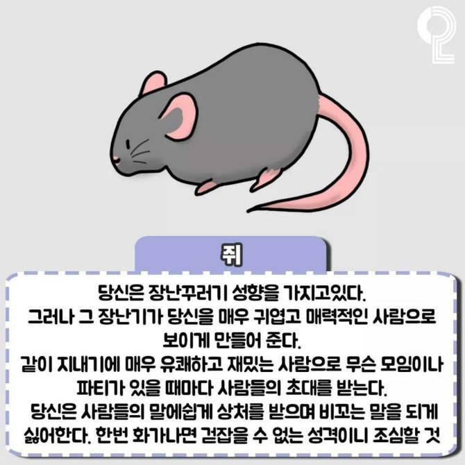 동물로 보는 성격테스트 | 인스티즈
