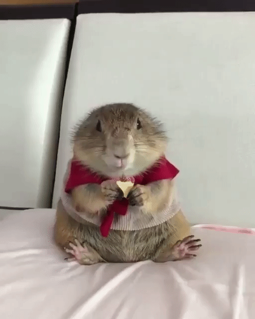 별 기대없이 먹었는데 맛있음.gif | 인스티즈