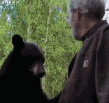 곰을 간단하게 제압하는 방법.gif | 인스티즈