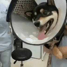 단짠단짠 레전드.gif | 인스티즈