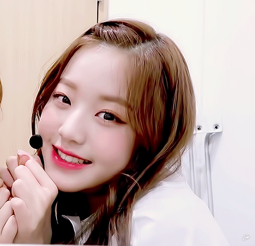 귀여운 아이즈원 동물농장 ㅋㅋㅋㅋㅋ | 인스티즈