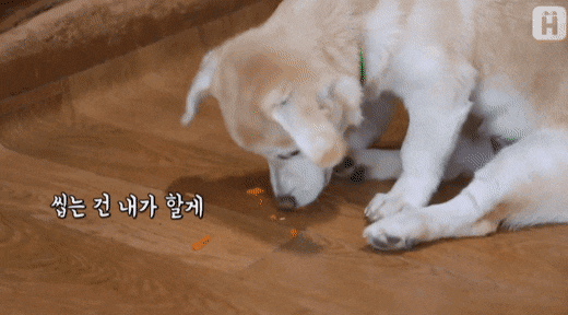 파프리카 거부하는 절미 | 인스티즈