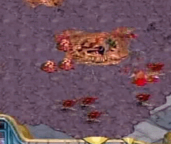 저는 그동안 프로토스가 왜 저그에게 졌는지 모르겠어요 (bg | 인스티즈