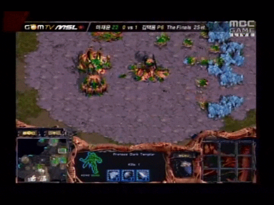 저는 그동안 프로토스가 왜 저그에게 졌는지 모르겠어요 (bg | 인스티즈