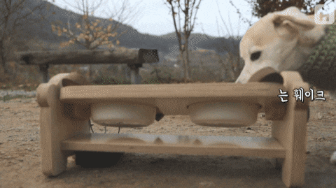 파프리카 거부하는 절미 | 인스티즈