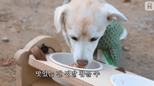 파프리카 거부하는 절미 | 인스티즈