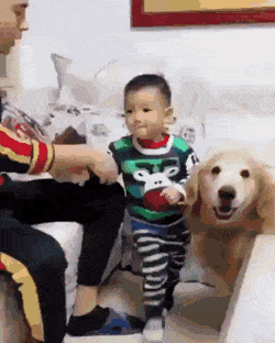 아기 혼내는 아빠 말리는 댕댕이.gif | 인스티즈