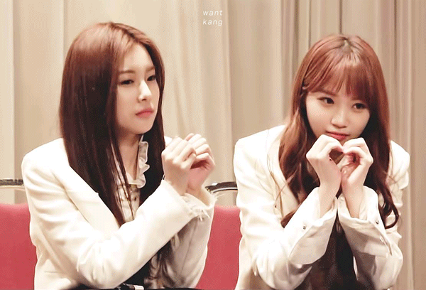 귀여운 아이즈원 동물농장 ㅋㅋㅋㅋㅋ | 인스티즈