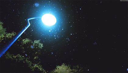 얼마 전 손목을 깊게 그은 당신과 마주 앉아 통닭을 먹는다 | 인스티즈