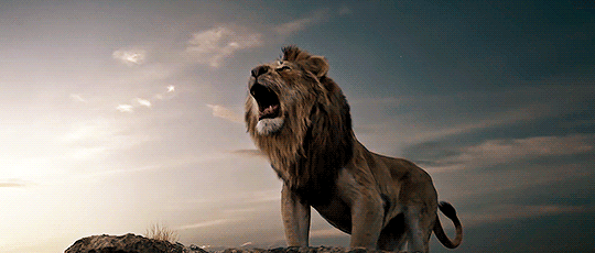 라이온킹 1994/2019 비교.jpgif | 인스티즈