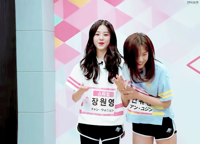 아이즈원) 아이즈원 비글3마리 | 인스티즈