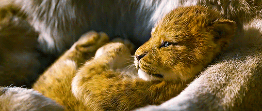 라이온킹 1994/2019 비교.jpgif | 인스티즈