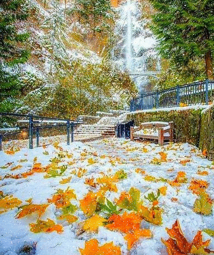 라이온킹 1994/2019 비교.jpgif | 인스티즈