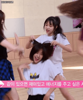 아이즈원) 아이즈원 비글3마리 | 인스티즈