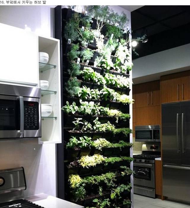 당신의 집에 설치하고싶은 아이디어는? jpg | 인스티즈