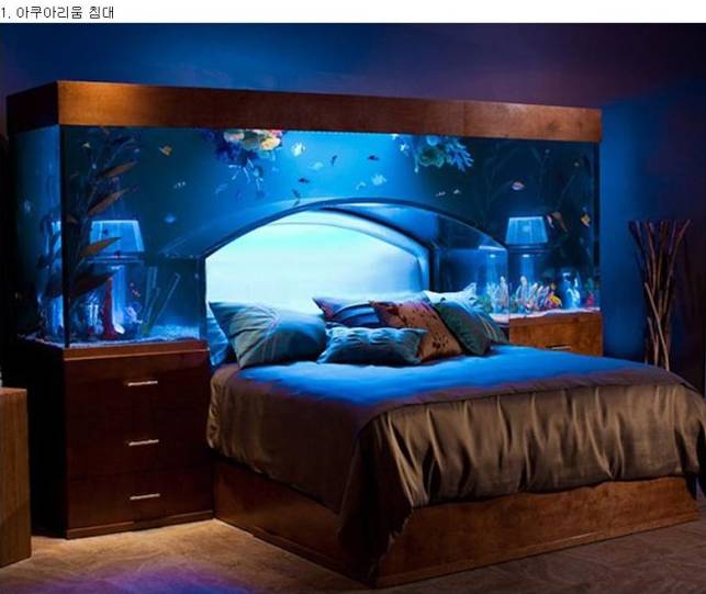 당신의 집에 설치하고싶은 아이디어는? jpg | 인스티즈