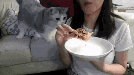 피자 먹고싶다옹 | 인스티즈