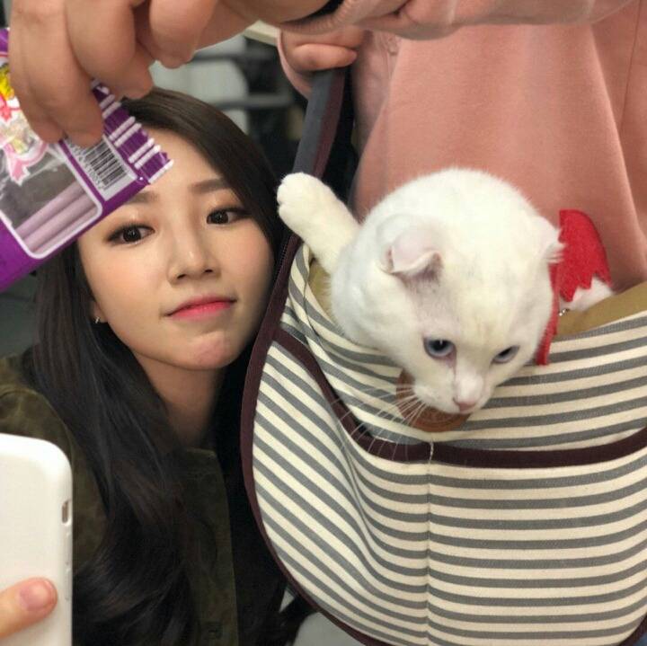 고려대 출신 게임 아나운서ㄷㄷㄷ | 인스티즈