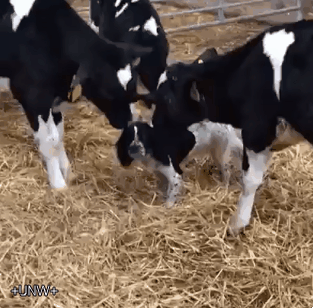 초등학교 일진이 여고에 들어 가보았다 | 인스티즈