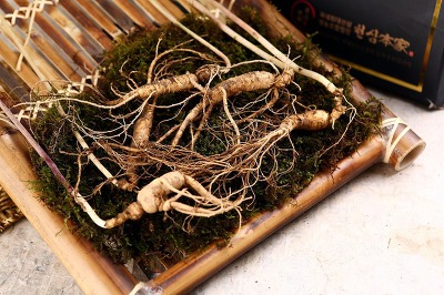 산이와 동생들.jpg (아침부터 뇌가 산뜻해지는 정보) | 인스티즈