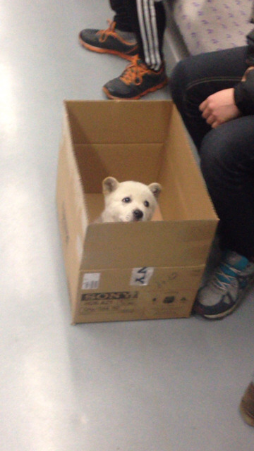 어서 와 지하철은 처음이지? | 인스티즈