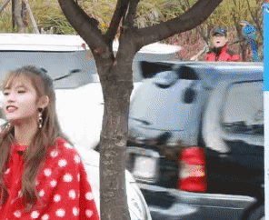 트와이스 촬영장을 지나가는 대드루이드.gif | 인스티즈