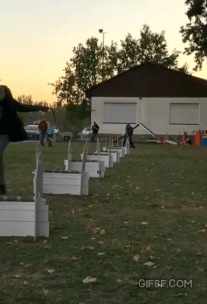 장애물 넘기 고인물 댕댕이.gif | 인스티즈