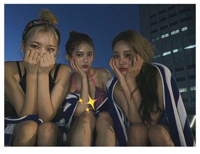 수영장에 간 모모랜드.jpg | 인스티즈