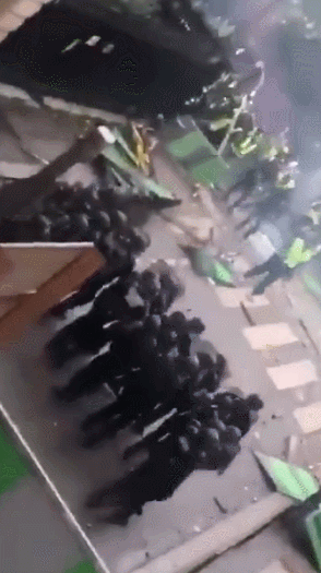 프랑스 사건 정리.gif | 인스티즈