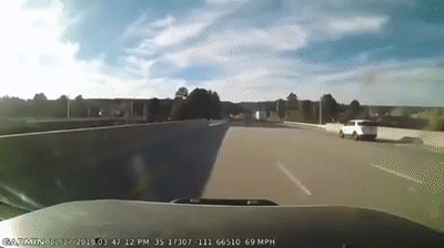 고속도로 역주행하는 차량으로 부터 시민을 구하는 경찰차 .gif | 인스티즈