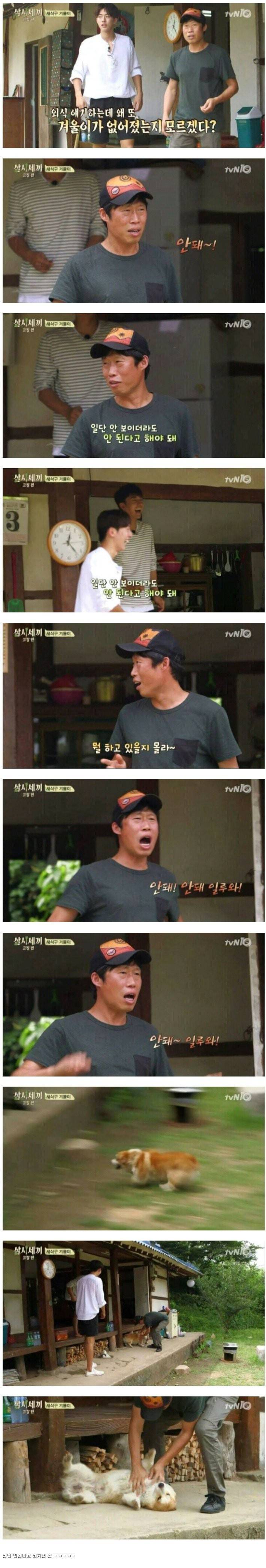 멍멍이 관리하는 법...JPG | 인스티즈