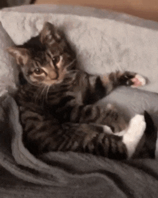 이게 주인님의 인형입니다 | 인스티즈