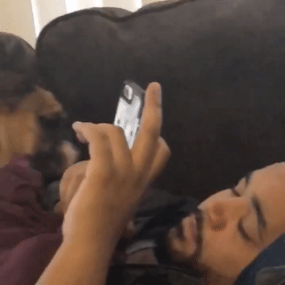 주인님이 너무 좋은 댕댕이들.gif | 인스티즈