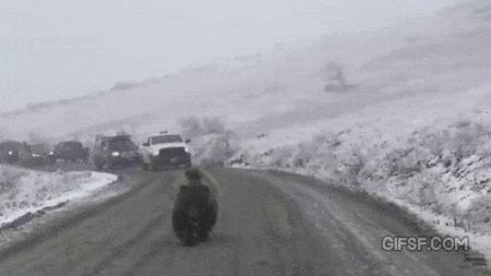 도로가 막힌 이유 | 인스티즈