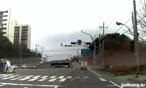 렉카충. 소수가 모여서 다수가 되는게 아니라 얘넨 그냥 다수가 다인듯 | 인스티즈