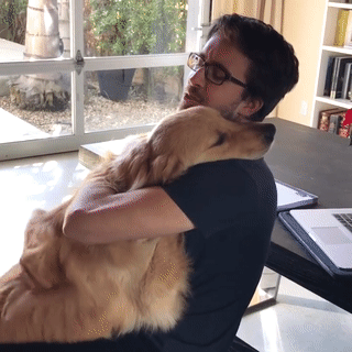 주인님이 너무 좋은 댕댕이들.gif | 인스티즈