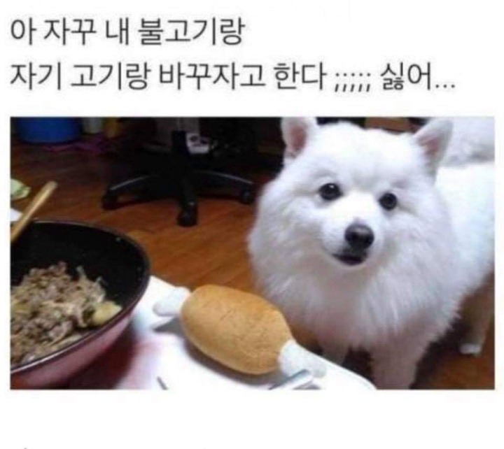 딜을 원하는 댕댕이.jpg | 인스티즈
