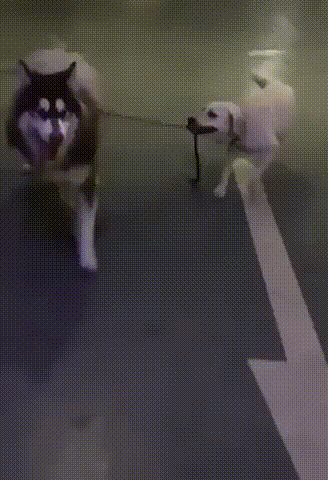 야 이 개1 니가 참어.gif | 인스티즈