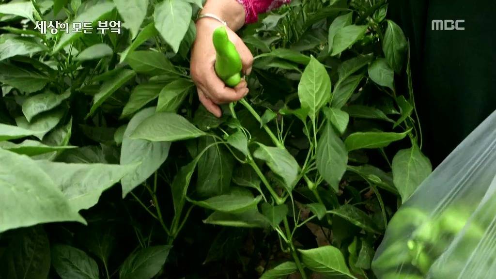 흔한 중국부자의 밥먹는 스케일.jpg | 인스티즈