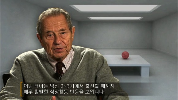 사람의 성격에 가장 많은 영향을 미치는 것 | 인스티즈