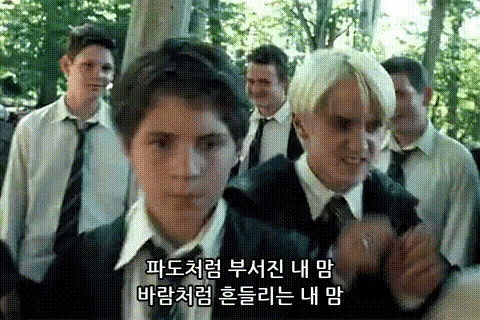 한국 아이돌로 데뷔한 말포이.gif | 인스티즈